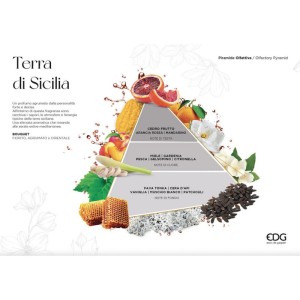 EDG namų kvapas su lazdelėmis TERRA DI SICILIA, 100 ml
