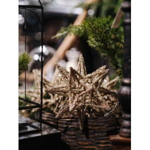 Kalėdinis eglutės žaisliukas „Karoliukų žvaigždė”